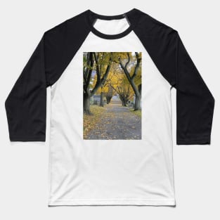 Fairview Cemetery, Altoona PA Pennsylvania Baseball T-Shirt